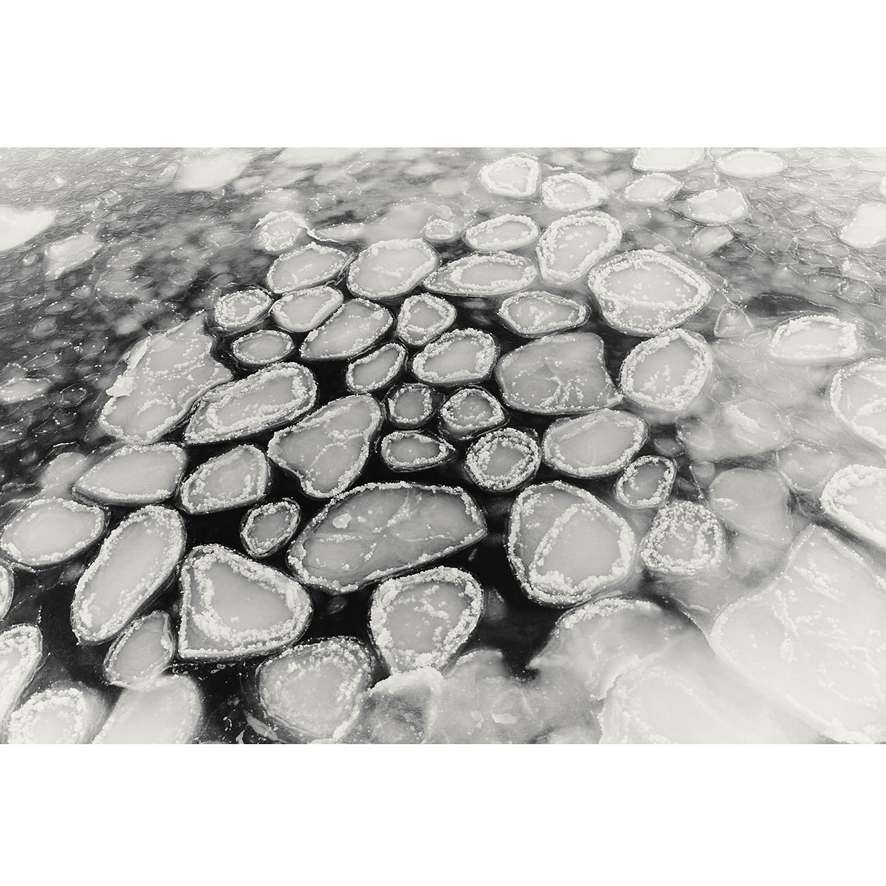 Monochrome aerial view of ice floes floating on a body of water, highlighting textures, patterns, and contrasts between ice and water.