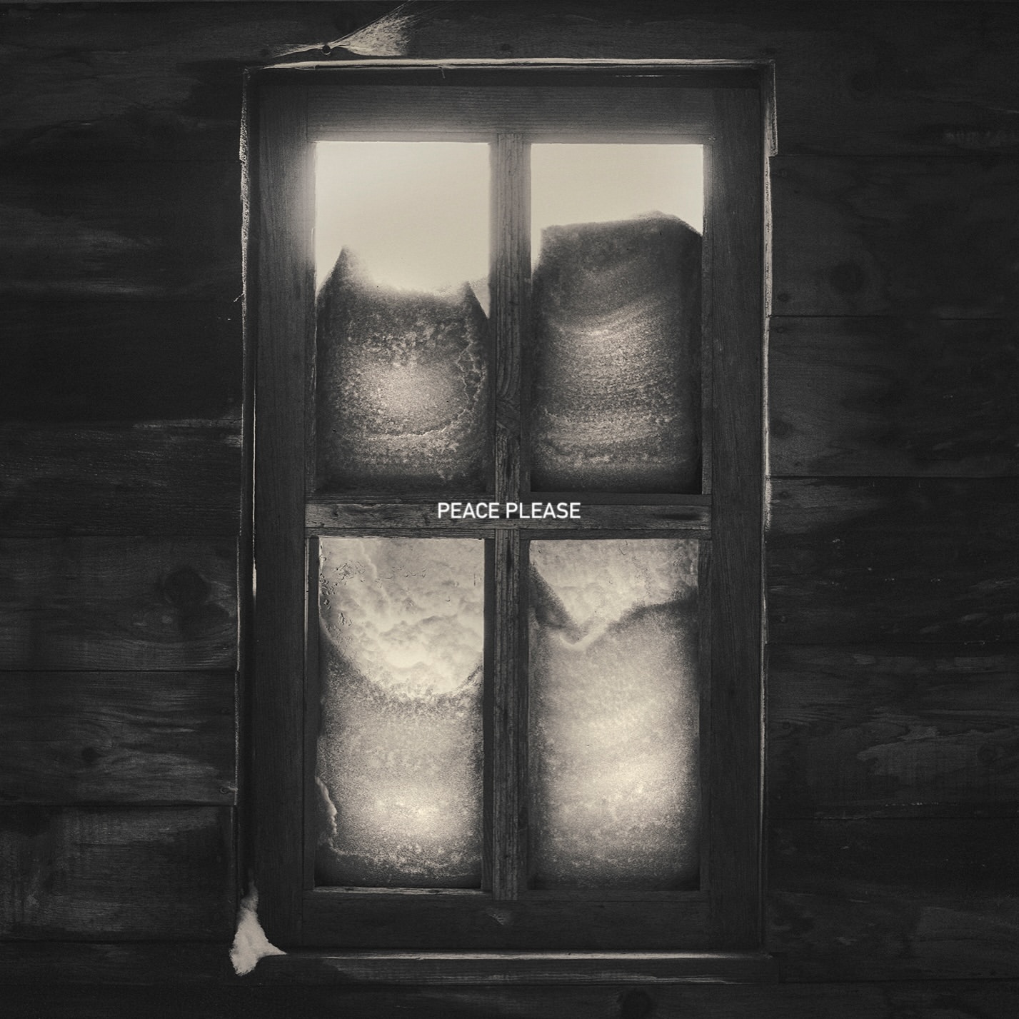 Monochrome image of a wooden-framed window covered with frost, looking out onto a muted, snow-covered scene and soft light.