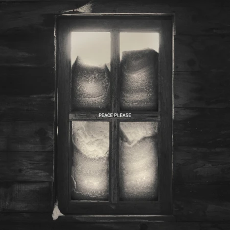 Monochrome image of a wooden-framed window covered with frost, looking out onto a muted, snow-covered scene and soft light.