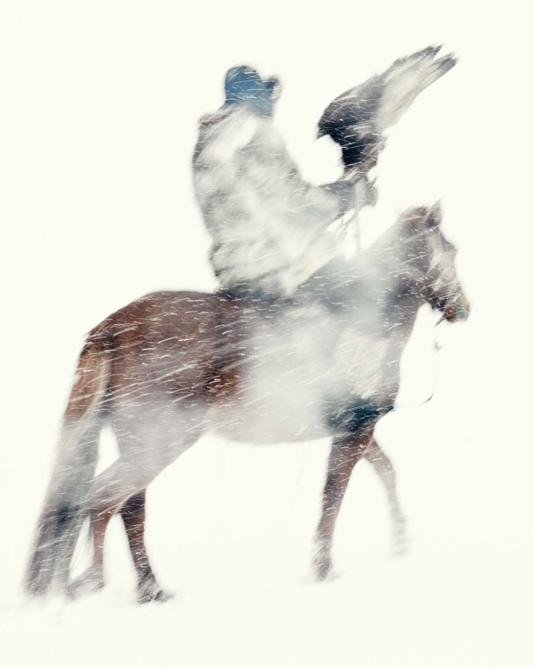 Equestrian scene featuring a person on horseback holding a falcon in snowy weather with visible motion blur and a bright, desaturated color palette.