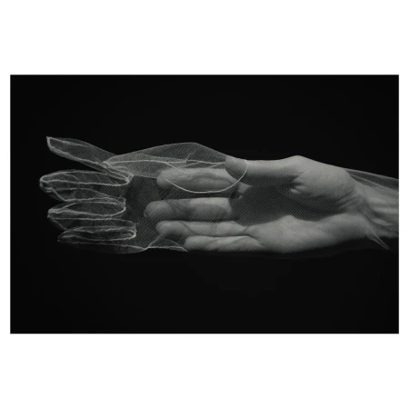 Close-up of a human hand wearing a sheer white tulle glove against a dark background, photographed by Alistair Taylor-Young.
