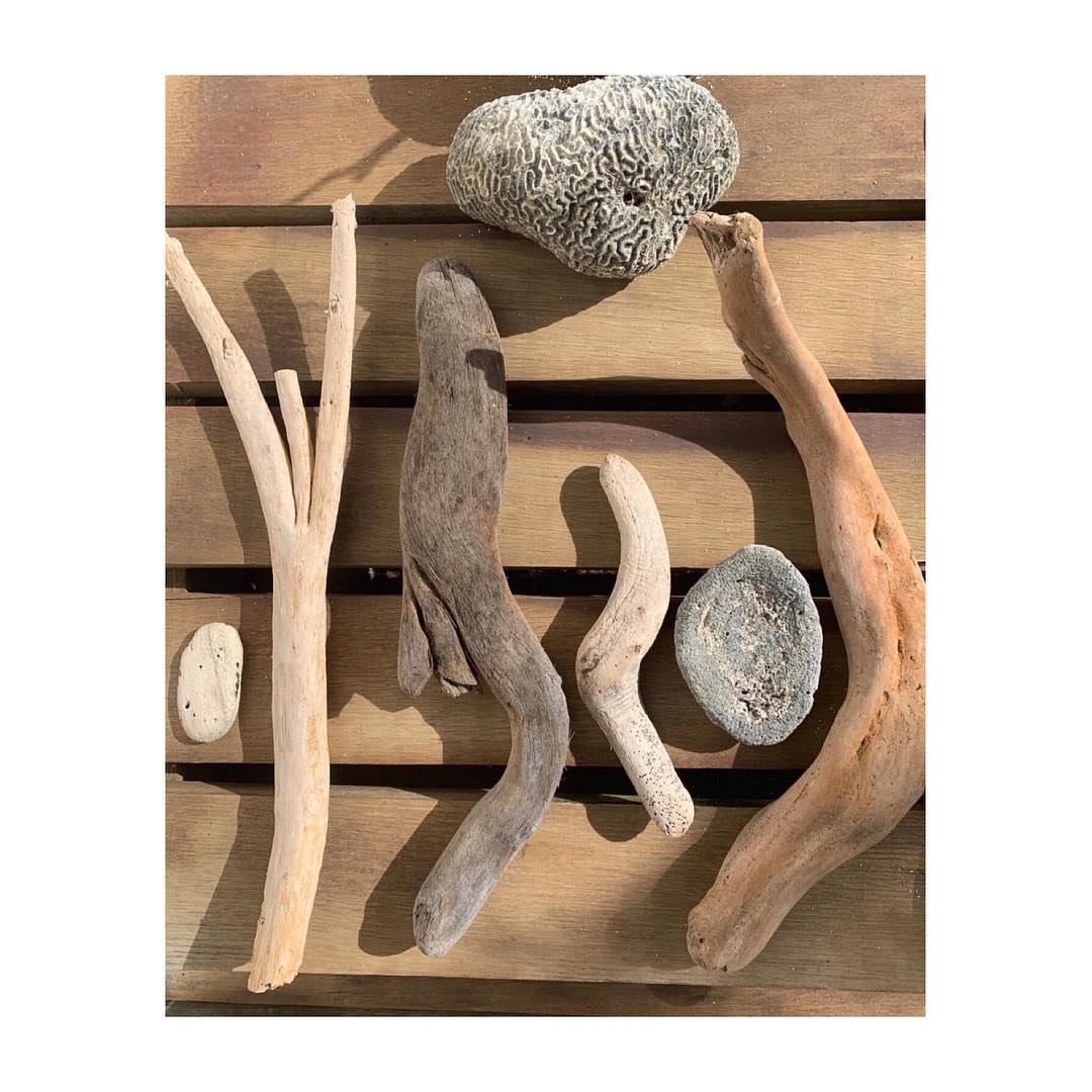 Still life featuring driftwood, stones, and coral arranged on a wooden surface. Natural light enhances the textures and neutral colors.