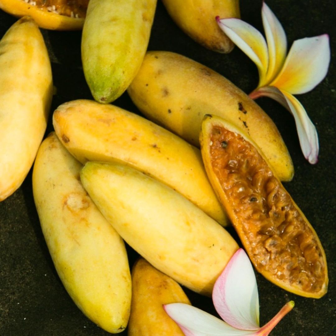 Close-up of vibrant yellow cassabanana fruits and frangipani flowers arranged on a dark backdrop.