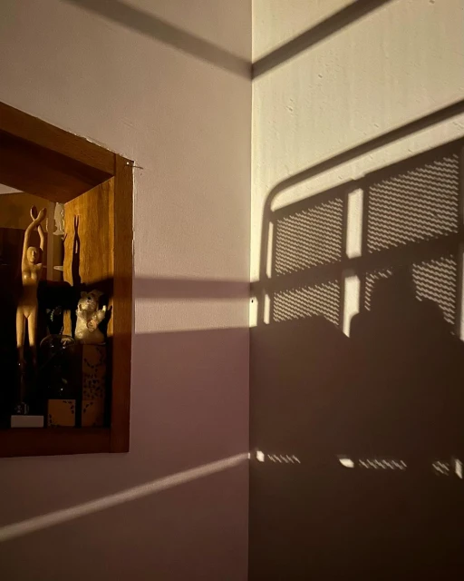 Art display with wooden sculpture and various objects casting shadows on the walls in an indoor setting with warm lighting.