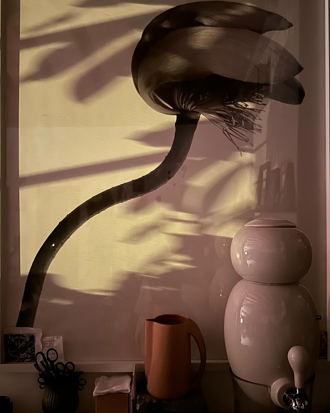 Still life photograph of a framed flower print with an elongated stem, positioned above a ceramic water dispenser and an orange pitcher.