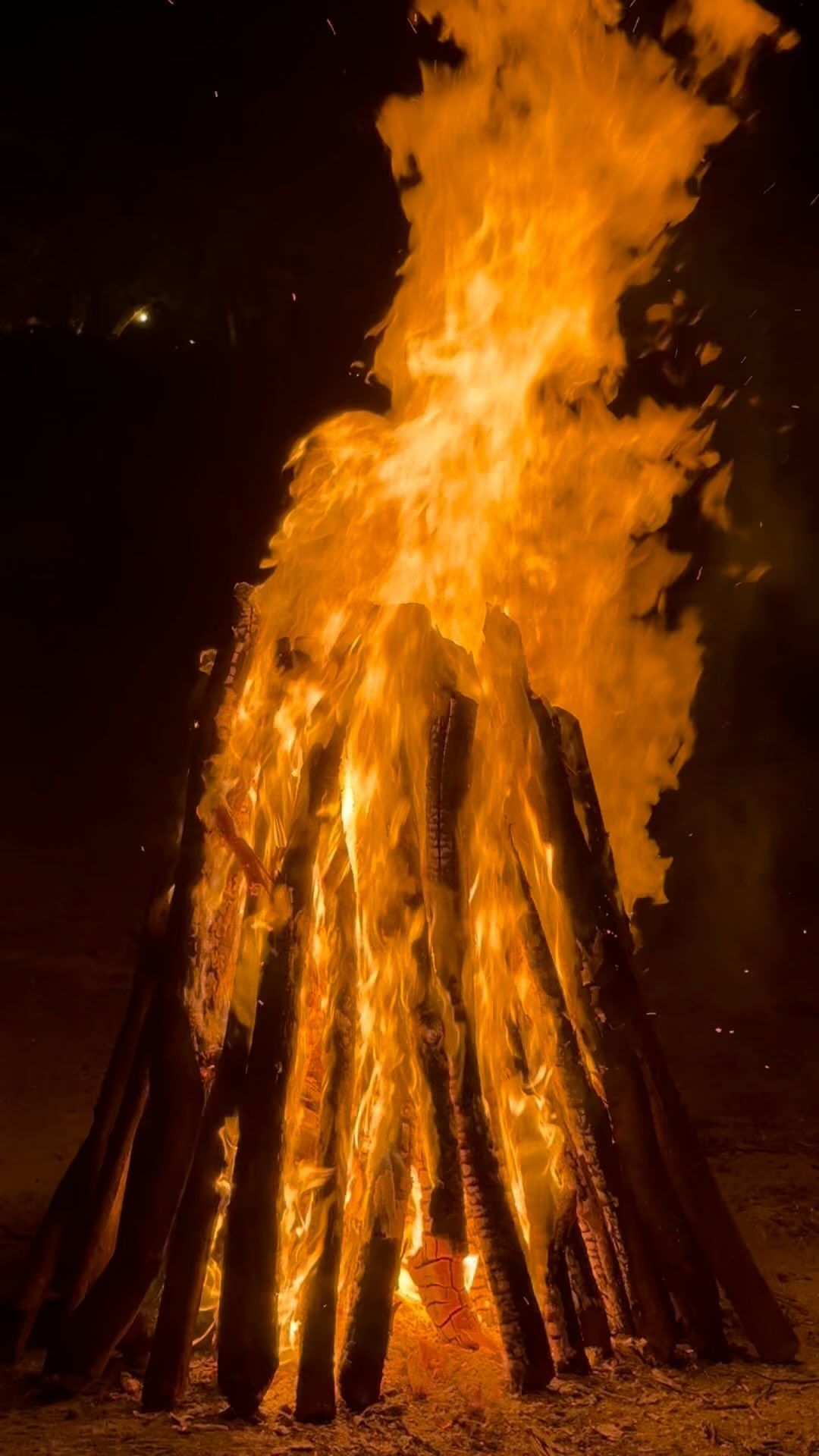 Large bonfire burns brightly at night, illuminating stacked logs with intense orange and yellow flames against a dark sky.
