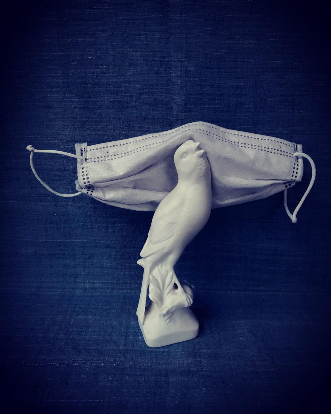 Still life with a white bird figurine supporting a surgical mask against a dark blue textured backdrop; artistic commentary.