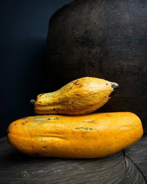 Still life of two ripe papayas stacked on a dark textured surface, with a large dark vase in the background, in a dimly lit setting.