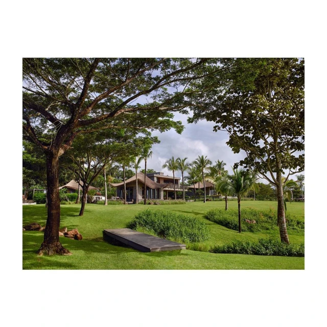 Exterior view of a large, modern home with a straw roof surrounded by palm trees and green grass, showcasing architectural design and landscaping.