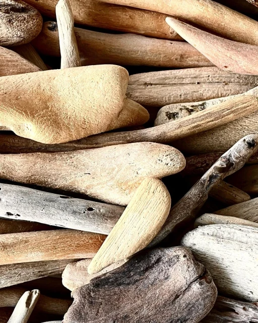 A pile of light-colored driftwood pieces creates a textured, abstract background with varying wood grains and tones in a close-up shot.