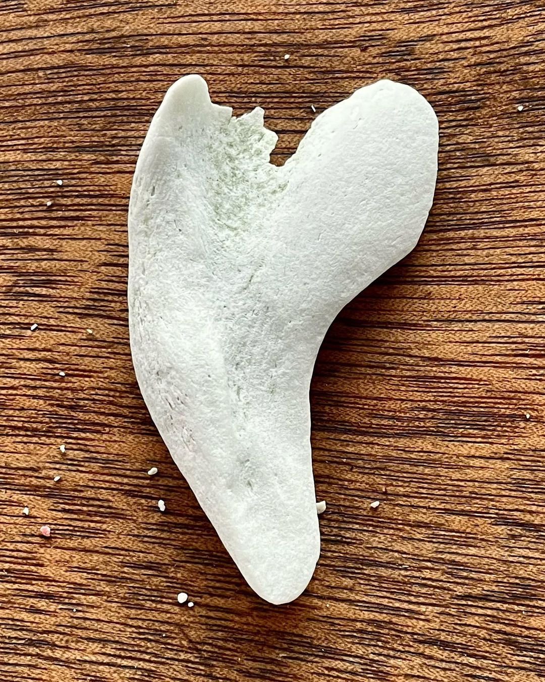 Close-up of a piece of sea glass on a textured brown surface. The glass is off-white with worn edges, showing signs of weathering.