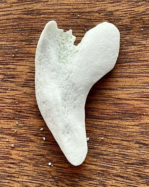 Close-up of a piece of sea glass on a textured brown surface. The glass is off-white with worn edges, showing signs of weathering.