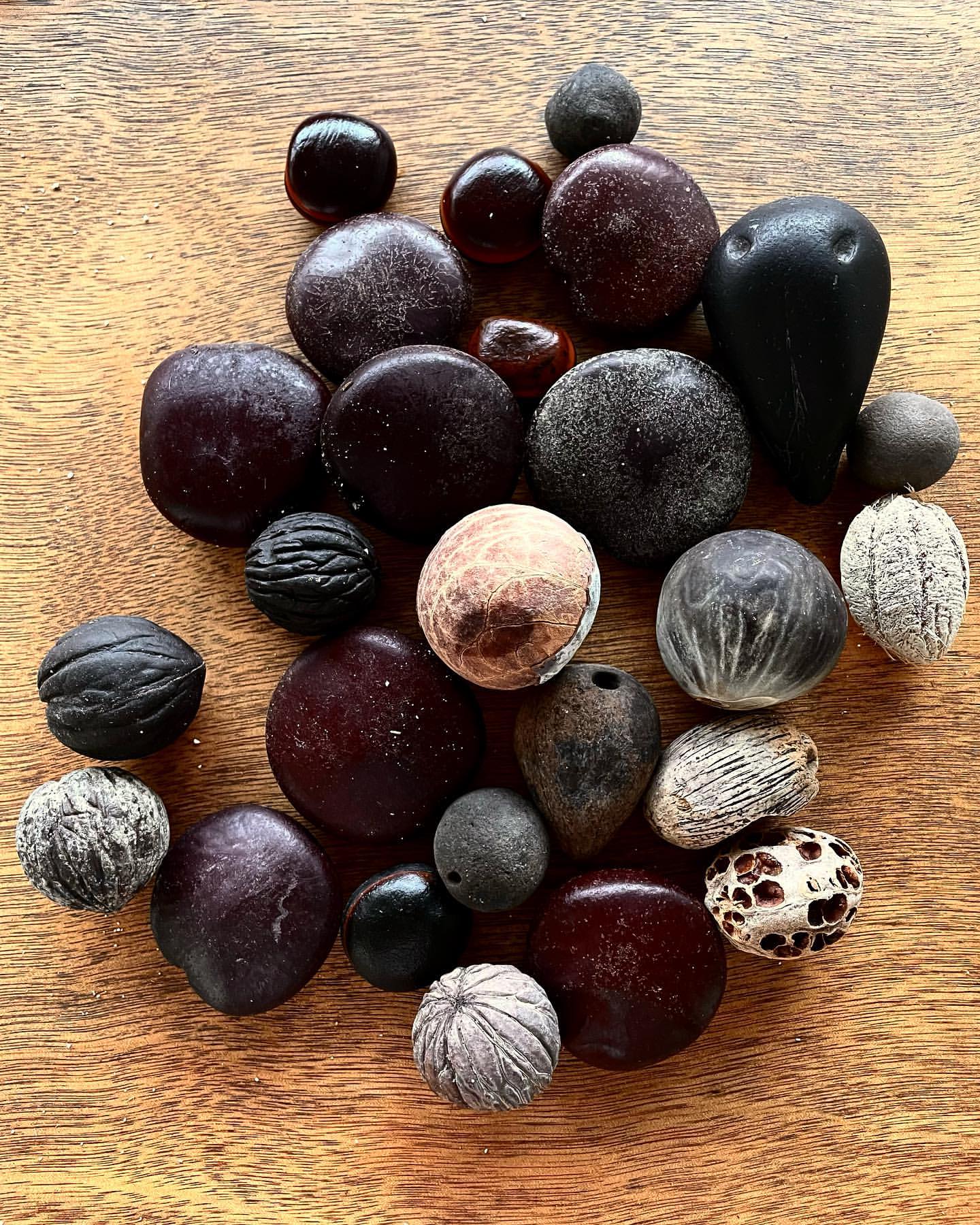 Close-up of an assortment of dark-colored seeds, nuts, and natural objects displayed on a warm brown wooden surface.