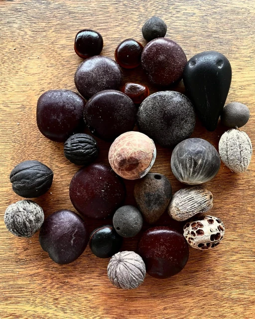 Close-up of an assortment of dark-colored seeds, nuts, and natural objects displayed on a warm brown wooden surface.