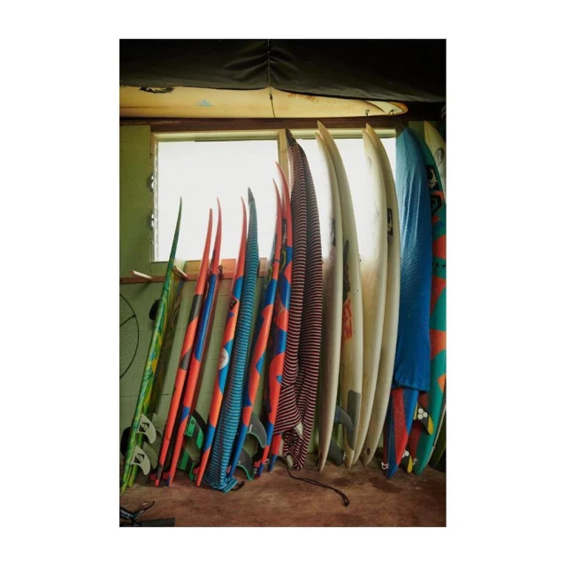 Array of colorful surfboards leaning against a wall inside a building, casting shadows on the ground; window behind them.