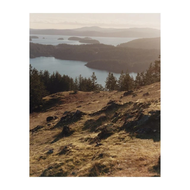 Hillside view of forested islands and calm water under a bright sky, creating a peaceful and scenic landscape panorama.