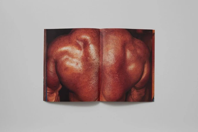Close-up shot of a tanned adult male's back, showcasing defined musculature and glistening skin texture. The photo is from an open book.