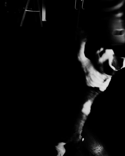 Monochrome photo of a dog standing on hind legs in a dark room, with a ladder and coat rack visible in the background.