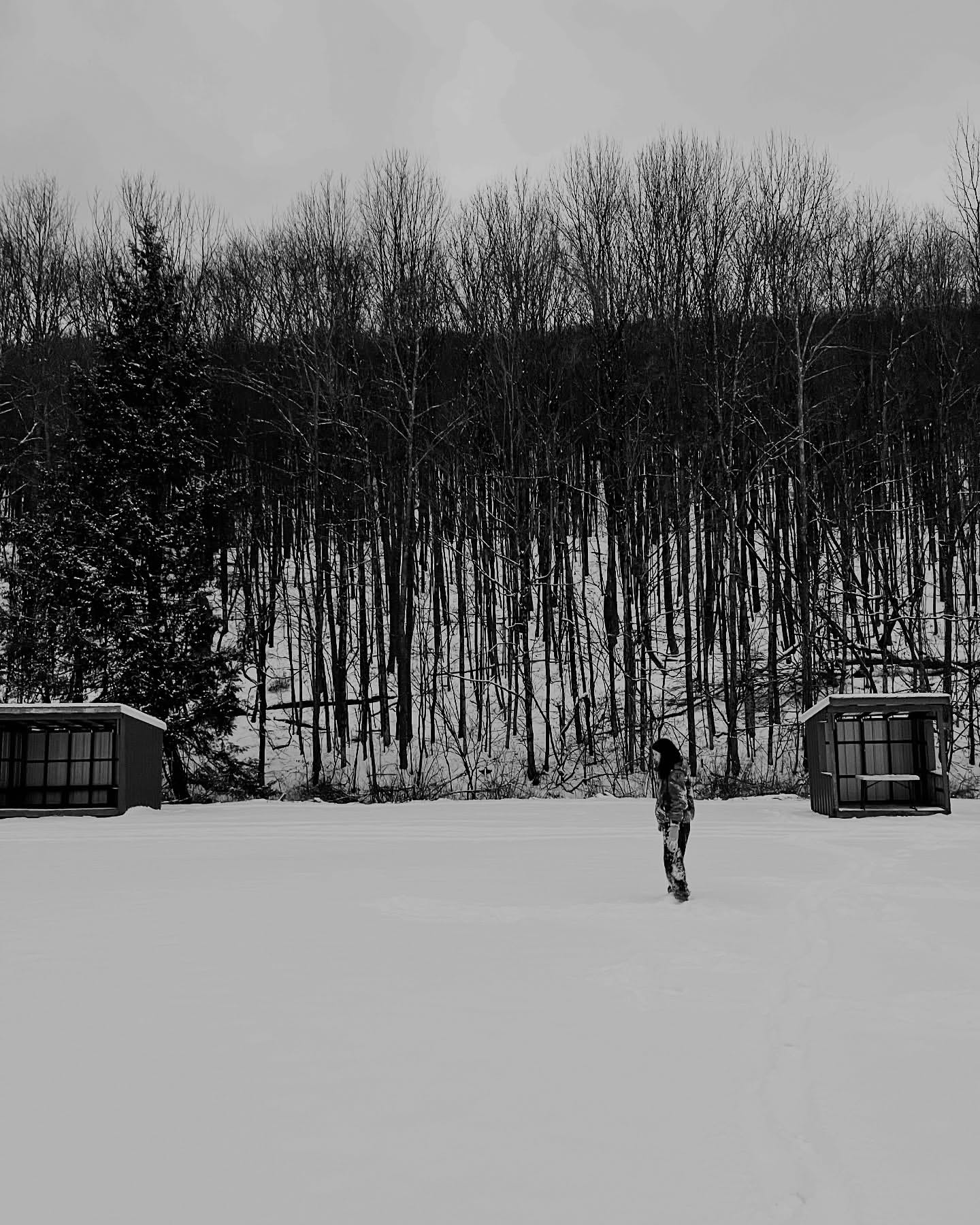 Monochrome photo of a woman walking in a snow-covered landscape near bare trees and small buildings, creating a stark winter scene.