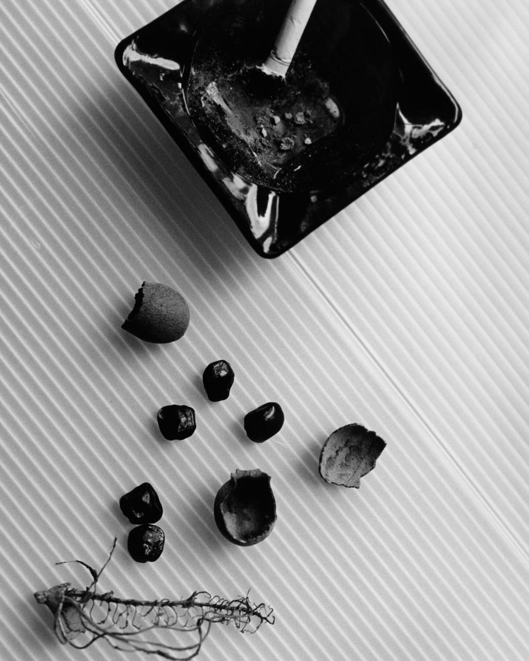 Monochrome still life photograph featuring an ashtray, nuts, shells, and root, arranged on a table with a striped background.