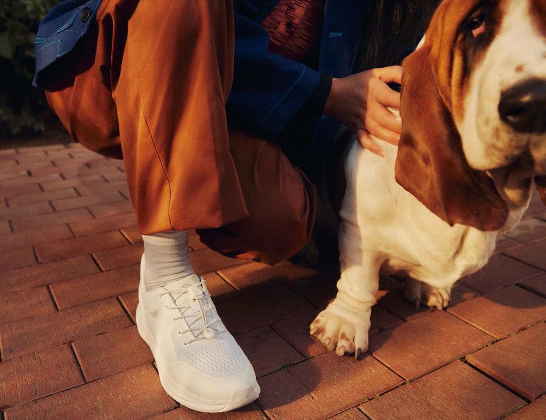 Woman in casual clothes pets a Basset Hound dog on a brick surface outdoors, showcasing a blend of fashion and companionship.