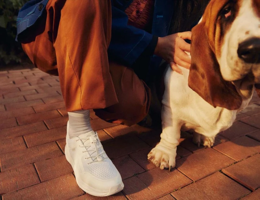 Woman in casual clothes pets a Basset Hound dog on a brick surface outdoors, showcasing a blend of fashion and companionship.