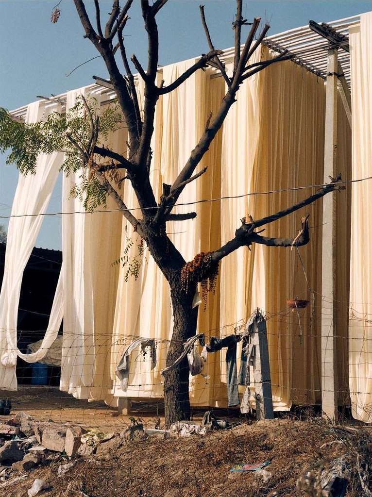 Outdoor scene features lines of cloth drying on racks in a rural setting, with a leafless tree in the foreground, evoking a sense of traditional craftsmanship.