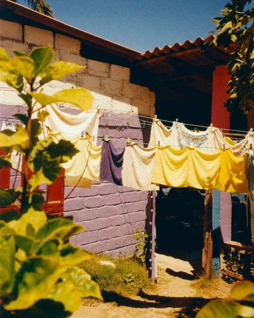 Colourful backyard scene featuring clothes drying on a line strung across a vibrant purple and white brick wall, with foliage nearby.