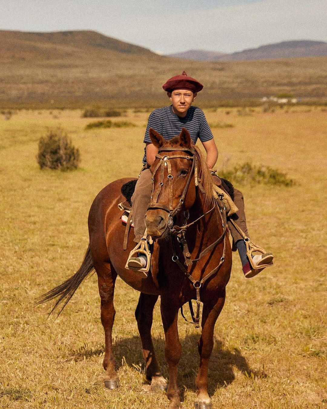 A young person with beret rides a chestnut horse through grassy plains in the countryside on a sunny day, showcasing an equine scene.