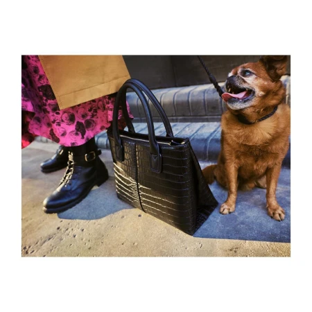 Fashionable alligator handbag with dog and boots on city street. Woman's stylish black ankle boots and pink floral dress visible.