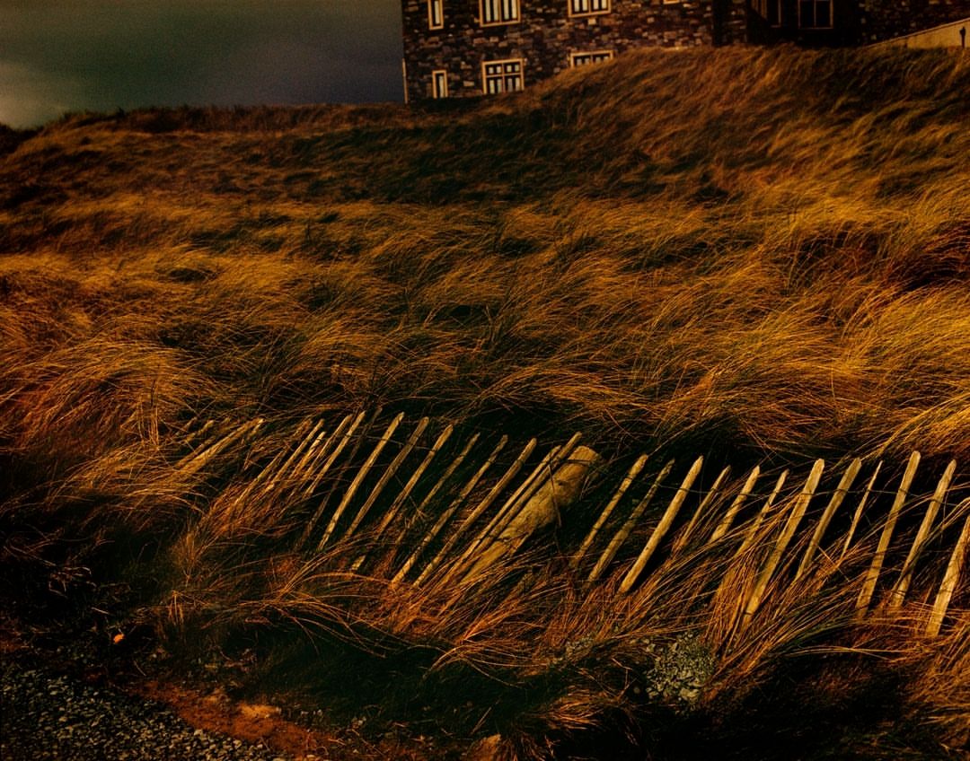 Coastal grasses and wooden fence on a dune under dark sky, creating a serene and textured landscape at the beach.