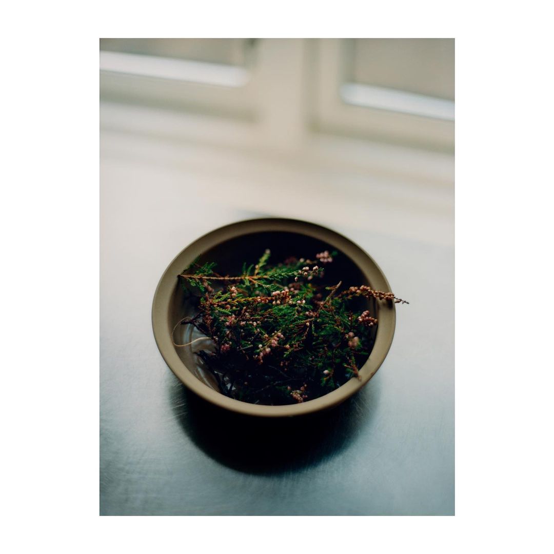 Close-up of a beige bowl filled with green and brown sprigs, positioned on a table against a blurred window background.