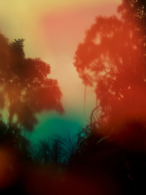 Dreamlike landscape with silhouettes of trees against a gradient sky in yellow, orange, teal, and black tones, creating a serene scene.