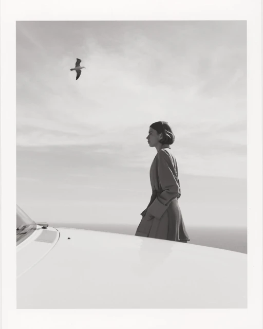 A woman in a coat stands near a vintage car overlooking the ocean, with a seagull flying overhead in a monochrome aesthetic.