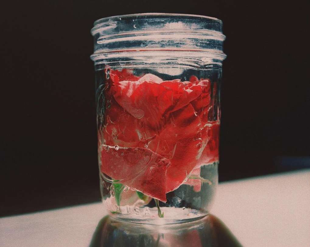 A close-up of a red rose head submerged in water inside of a clear mason jar, with a dark background and a white surface.