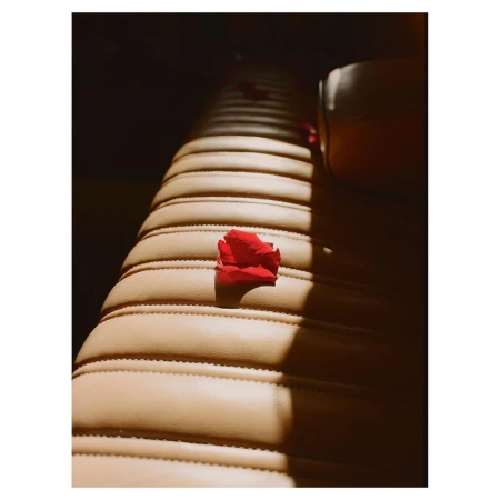 Close-up of a tan leather seat with red rose petals scattered on top, illuminated by a beam of light creating a dramatic contrast.