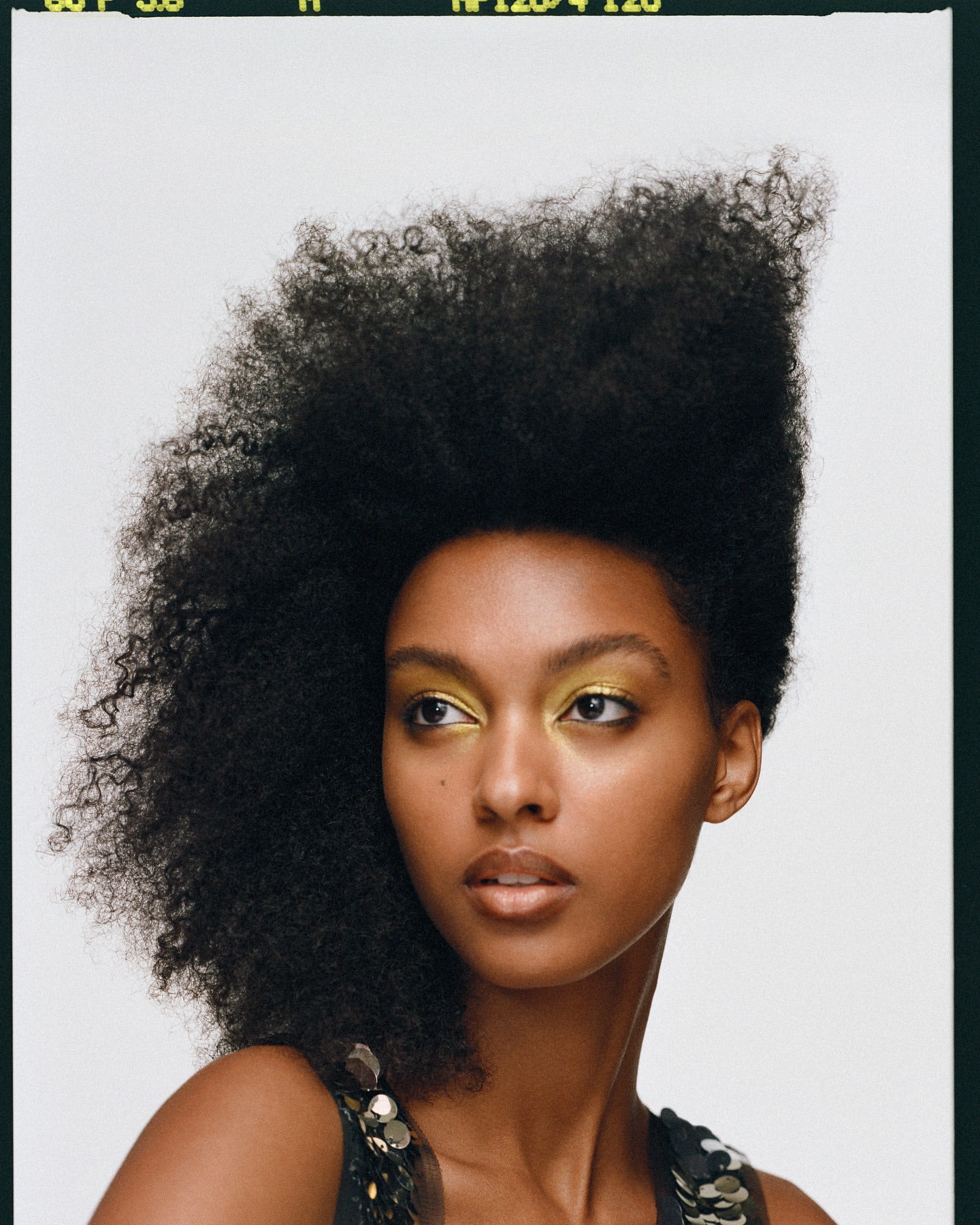 Striking portrait of a woman with large afro hairstyle, adorned with gold eyeshadow, gazing off-camera against a stark white backdrop.