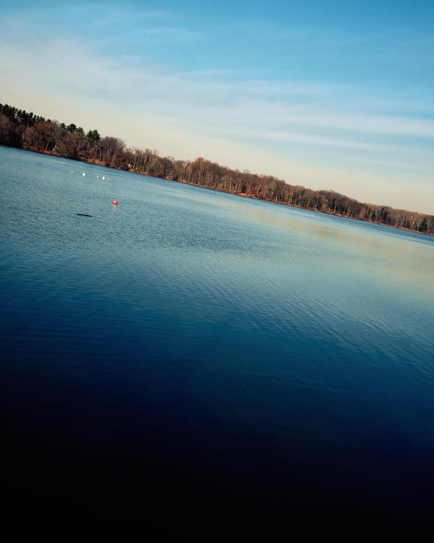 Scenic view of a tranquil lake with trees lining the shore under a blue sky, capturing a peaceful and natural landscape scene.