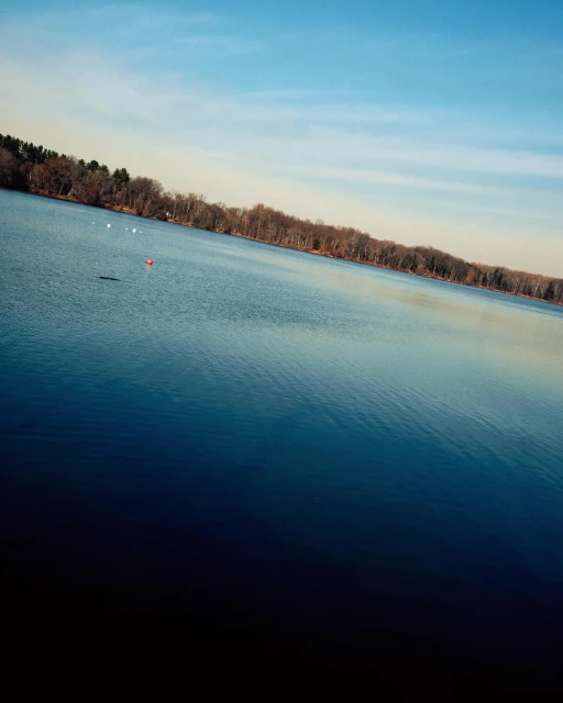 Scenic view of a tranquil lake with trees lining the shore under a blue sky, capturing a peaceful and natural landscape scene.