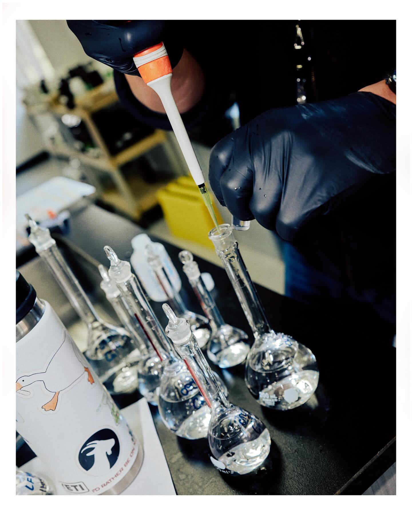 Close-up view of a scientist in black gloves using a pipette to transfer liquid into a clear glass flask in a laboratory setting.