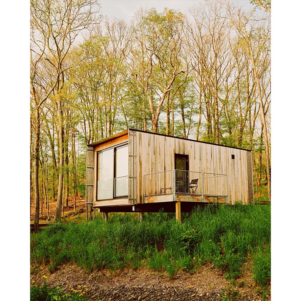 Modern cabin sits elevated in a wooded area with lush green groundcover and bare trees creating a secluded and serene retreat.