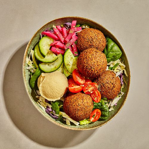 Overhead shot of a vibrant falafel bowl featuring falafel, hummus, sliced cucumbers, tomatoes, and pickled vegetables on a neutral background.