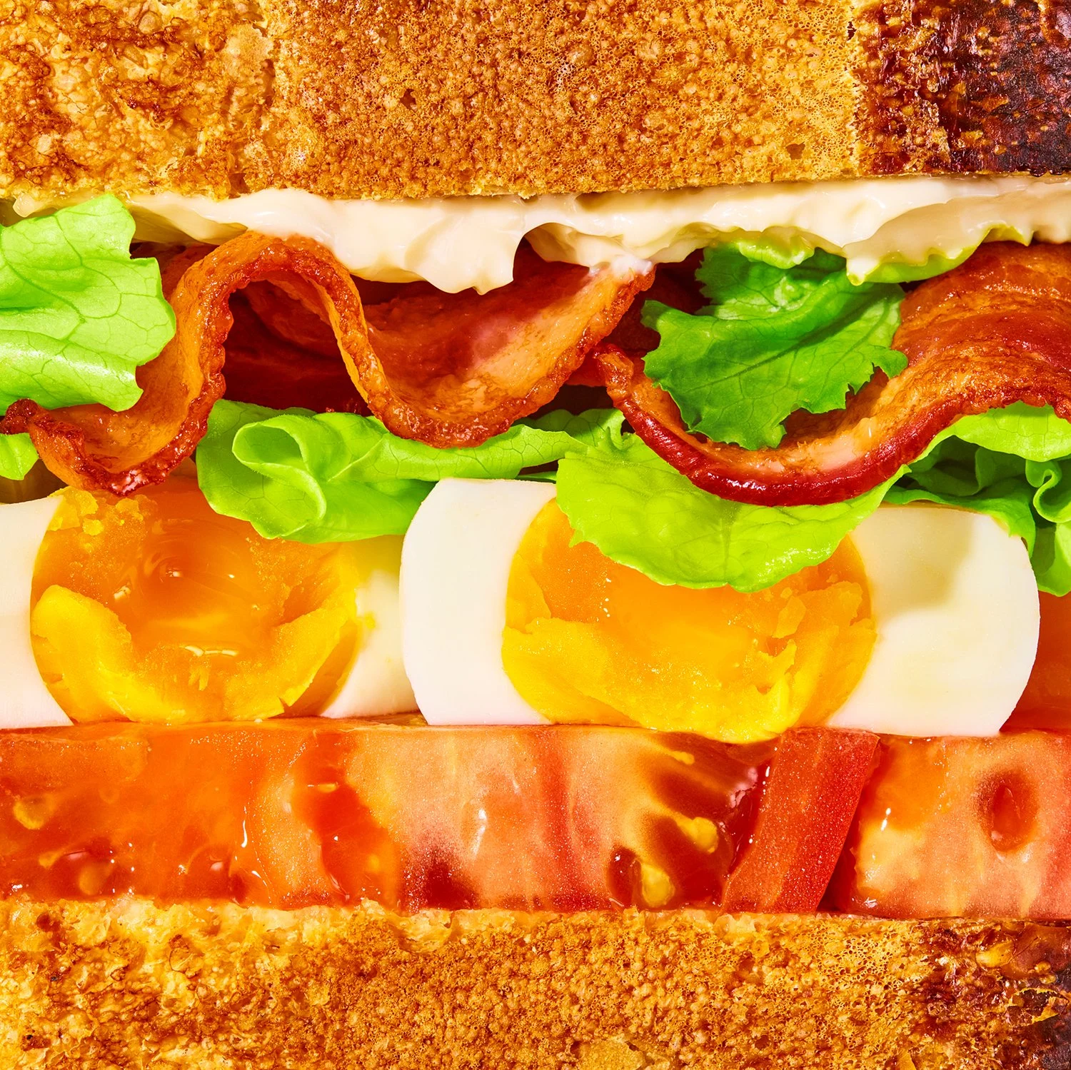Close-up of a sandwich featuring layers of tomato, egg, lettuce, bacon, and bread, creating a visually appealing food composition.