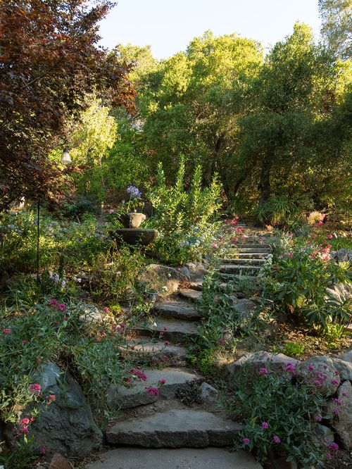 Stone staircase winds through a lush garden filled with green plants, pink flowers, and trees, leading upwards into the sunlit background.