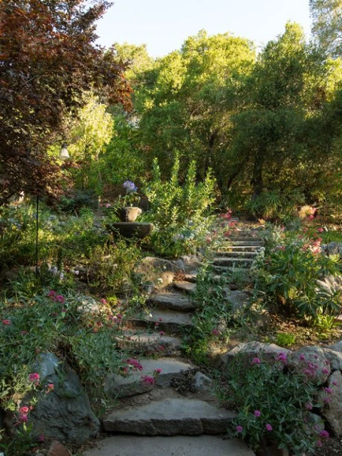 Stone staircase winds through a lush garden filled with green plants, pink flowers, and trees, leading upwards into the sunlit background.