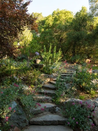 Stone staircase winds through a lush garden filled with green plants, pink flowers, and trees, leading upwards into the sunlit background.