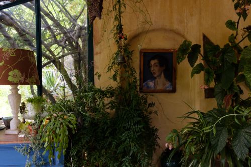Interior view of potted plants and an ornate lamp with a portrait on the wall, creating a lush indoor garden setting.