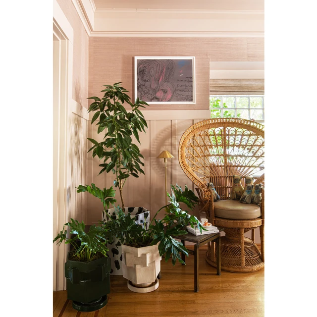 Interior corner of a room with plants in decorative pots, a rattan peacock chair, side table, artwork, and a muted pink wall covering.