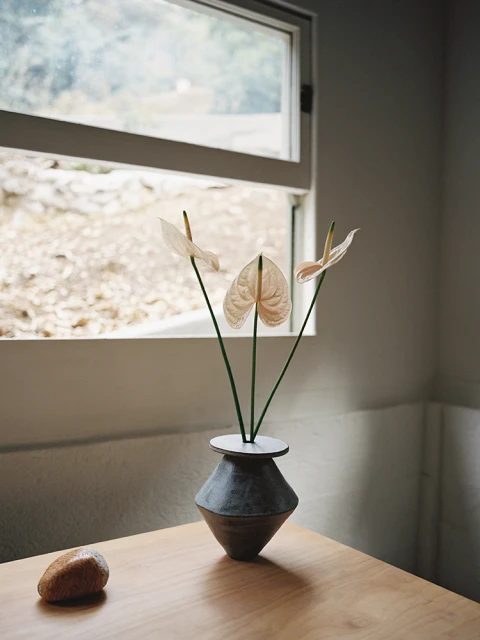 Still life featuring three anthurium flowers in a dark vase on a light wooden table near a window, showcasing neutral colors and indoor setting.