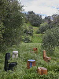 Several unique wooden and stone sculptural chairs arranged in a grassy meadow surrounded by lush green trees and foliage.